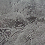 TRW1