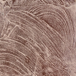 TRW12