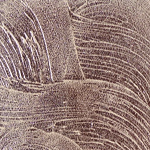 TRW21