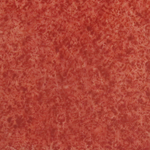 SPG3